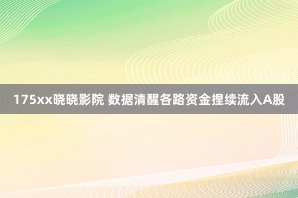 175xx晓晓影院 数据清醒各路资金捏续流入A股