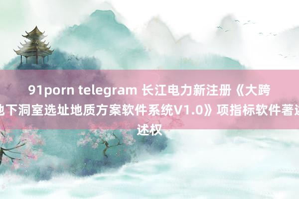 91porn telegram 长江电力新注册《大跨度地下洞室选址地质方案软件系统V1.0》项指标软件著述权