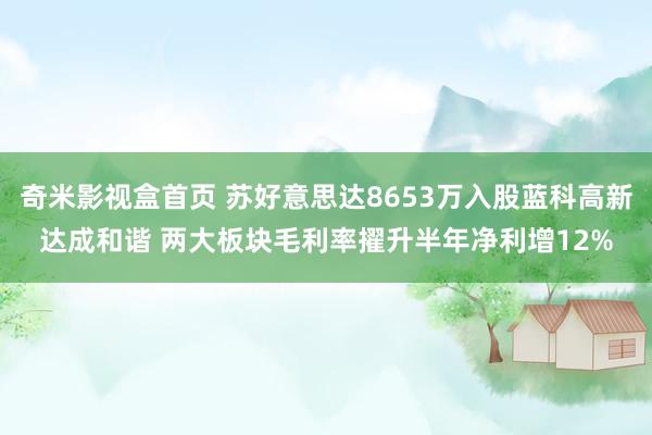 奇米影视盒首页 苏好意思达8653万入股蓝科高新达成和谐 两大板块毛利率擢升半年净利增12%