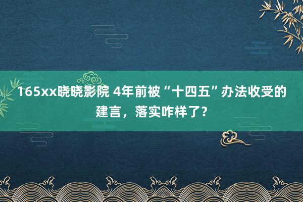 165xx晓晓影院 4年前被“十四五”办法收受的建言，落实咋样了？