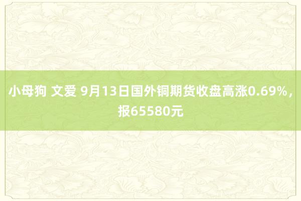 小母狗 文爱 9月13日国外铜期货收盘高涨0.69%，报65580元