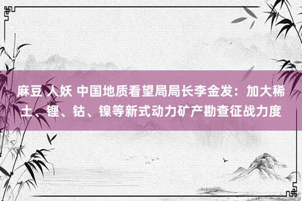 麻豆 人妖 中国地质看望局局长李金发：加大稀土、锂、钴、镍等新式动力矿产勘查征战力度