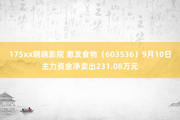 175xx晓晓影院 惠发食物（603536）9月10日主力资金净卖出231.08万元