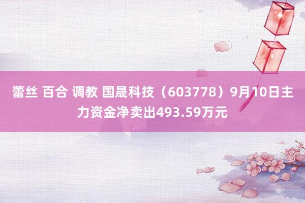 蕾丝 百合 调教 国晟科技（603778）9月10日主力资金净卖出493.59万元