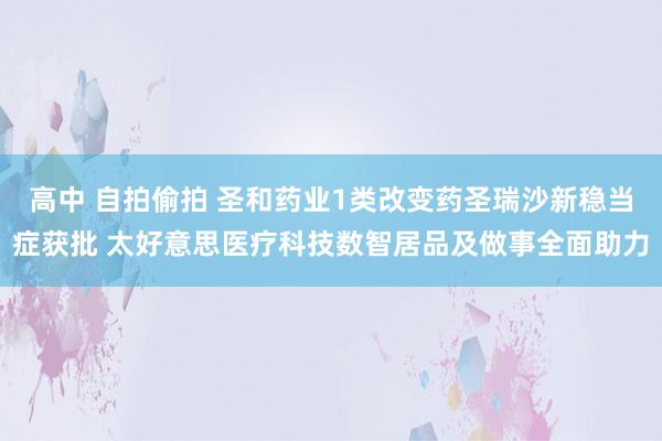 高中 自拍偷拍 圣和药业1类改变药圣瑞沙新稳当症获批 太好意思医疗科技数智居品及做事全面助力