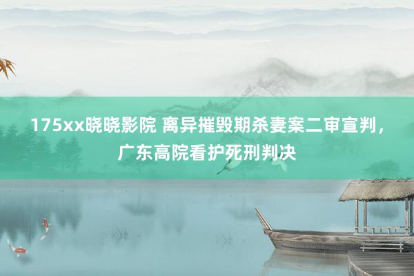 175xx晓晓影院 离异摧毁期杀妻案二审宣判，广东高院看护死刑判决