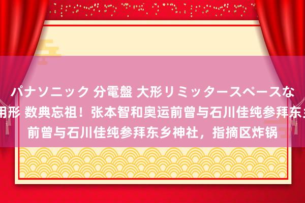 パナソニック 分電盤 大形リミッタースペースなし 露出・半埋込両用形 数典忘祖！张本智和奥运前曾与石川佳纯参拜东乡神社，指摘区炸锅