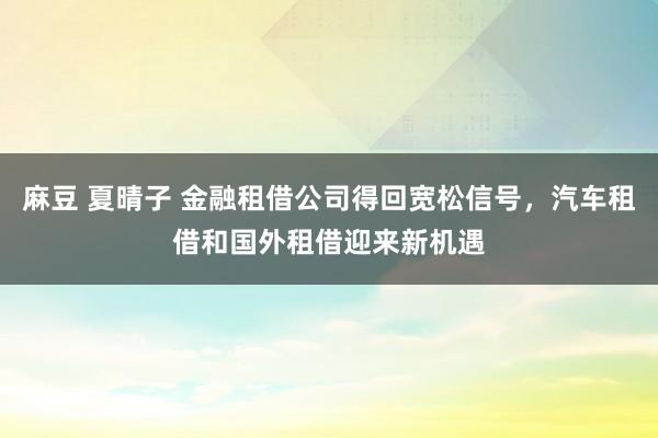 麻豆 夏晴子 金融租借公司得回宽松信号，汽车租借和国外租借迎来新机遇