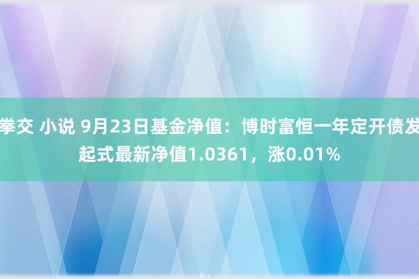 拳交 小说 9月23日基金净值：博时富恒一年定开债发起式最新净值1.0361，涨0.01%