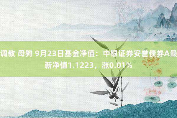 调教 母狗 9月23日基金净值：中银证券安誉债券A最新净值1.1223，涨0.01%