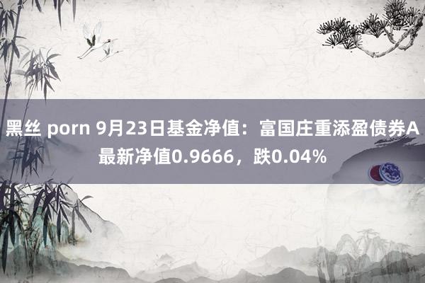 黑丝 porn 9月23日基金净值：富国庄重添盈债券A最新净值0.9666，跌0.04%