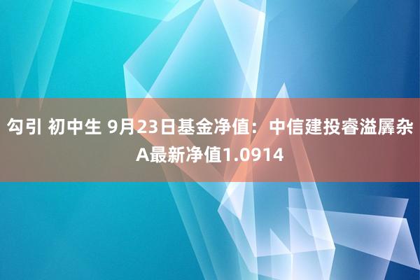 勾引 初中生 9月23日基金净值：中信建投睿溢羼杂A最新净值1.0914