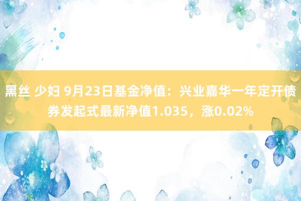 黑丝 少妇 9月23日基金净值：兴业嘉华一年定开债券发起式最新净值1.035，涨0.02%