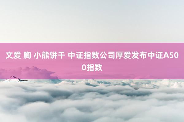 文爱 胸 小熊饼干 中证指数公司厚爱发布中证A500指数