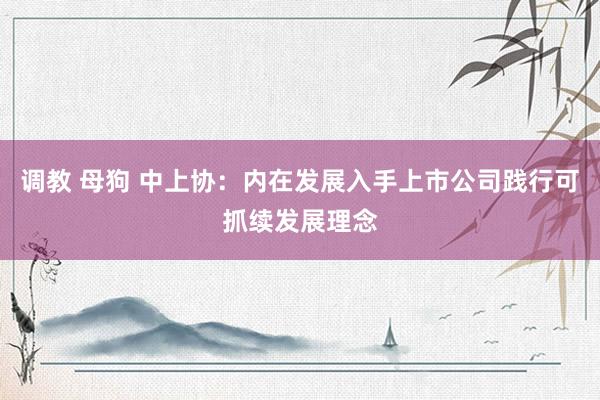 调教 母狗 中上协：内在发展入手上市公司践行可抓续发展理念