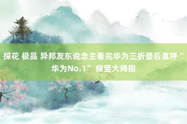 探花 极品 异邦友东说念主看完华为三折叠后直呼“华为No.1” 频竖大拇指