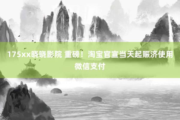 175xx晓晓影院 重磅！淘宝官宣当天起赈济使用微信支付