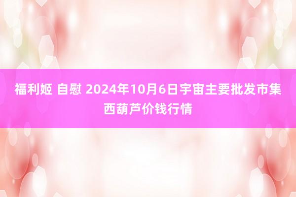 福利姬 自慰 2024年10月6日宇宙主要批发市集西葫芦价钱行情