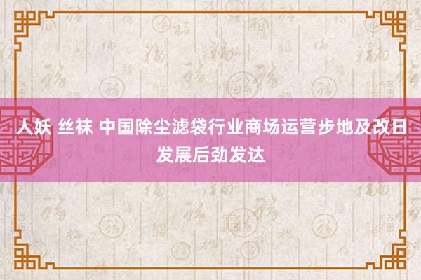 人妖 丝袜 中国除尘滤袋行业商场运营步地及改日发展后劲发达