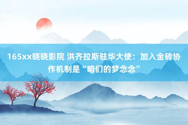 165xx晓晓影院 洪齐拉斯驻华大使：加入金砖协作机制是“咱们的梦念念”