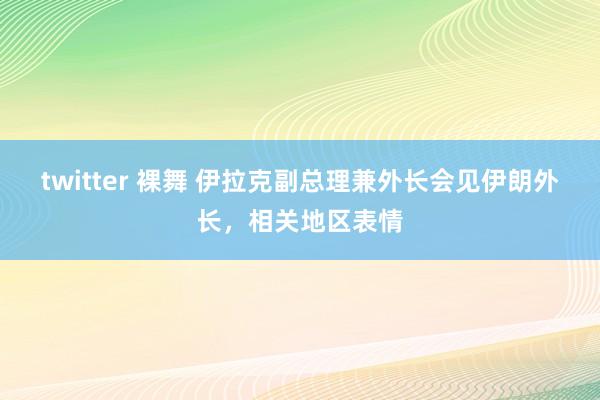 twitter 裸舞 伊拉克副总理兼外长会见伊朗外长，相关地区表情