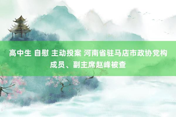 高中生 自慰 主动投案 河南省驻马店市政协党构成员、副主席赵峰被查