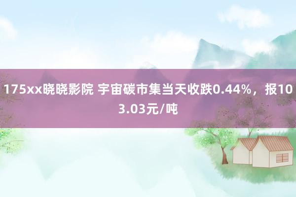 175xx晓晓影院 宇宙碳市集当天收跌0.44%，报103.03元/吨