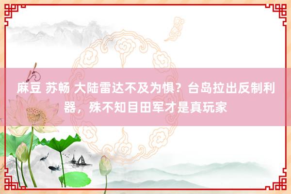 麻豆 苏畅 大陆雷达不及为惧？台岛拉出反制利器，殊不知目田军才是真玩家