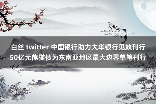 白丝 twitter 中国银行助力大华银行见效刊行50亿元熊猫债为东南亚地区最大边界单笔刊行