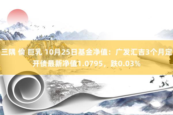 三隅 倫 巨乳 10月25日基金净值：广发汇吉3个月定开债最新净值1.0795，跌0.03%