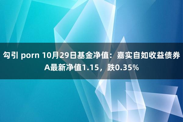 勾引 porn 10月29日基金净值：嘉实自如收益债券A最新净值1.15，跌0.35%