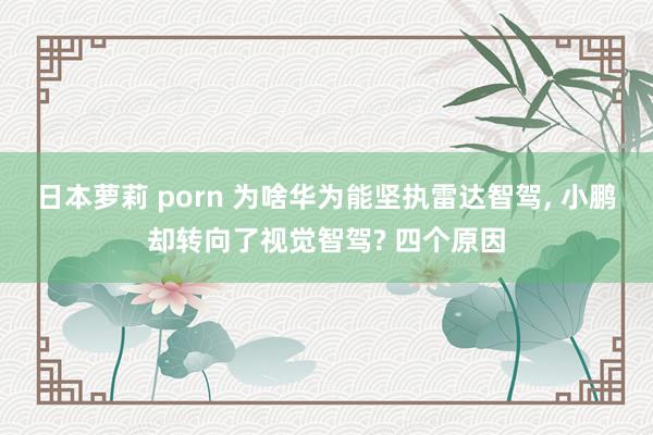 日本萝莉 porn 为啥华为能坚执雷达智驾， 小鹏却转向了视觉智驾? 四个原因