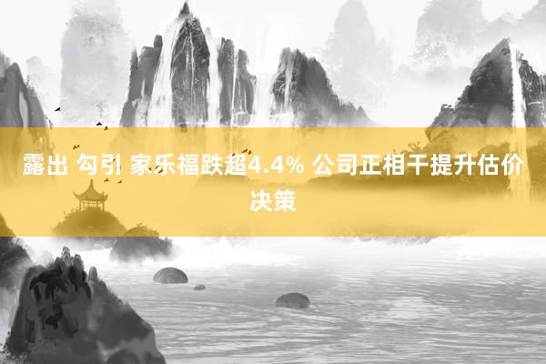 露出 勾引 家乐福跌超4.4% 公司正相干提升估价决策