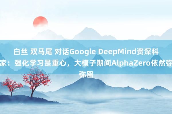 白丝 双马尾 对话Google DeepMind资深科学家：强化学习是重心，大模子期间AlphaZero依然弥留