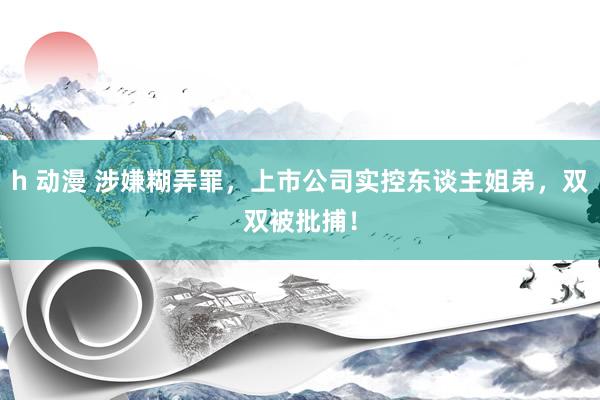 h 动漫 涉嫌糊弄罪，上市公司实控东谈主姐弟，双双被批捕！