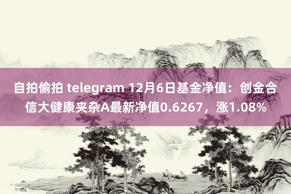 自拍偷拍 telegram 12月6日基金净值：创金合信大健康夹杂A最新净值0.6267，涨1.08%