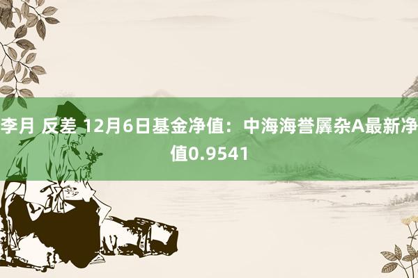 李月 反差 12月6日基金净值：中海海誉羼杂A最新净值0.9541