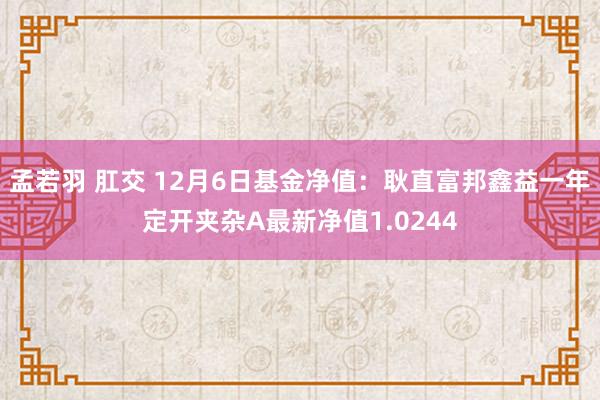 孟若羽 肛交 12月6日基金净值：耿直富邦鑫益一年定开夹杂A最新净值1.0244