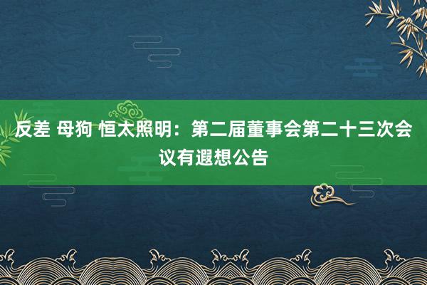 反差 母狗 恒太照明：第二届董事会第二十三次会议有遐想公告