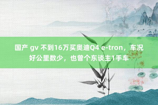 国产 gv 不到16万买奥迪Q4 e-tron，车况好公里数少，也曾个东谈主1手车