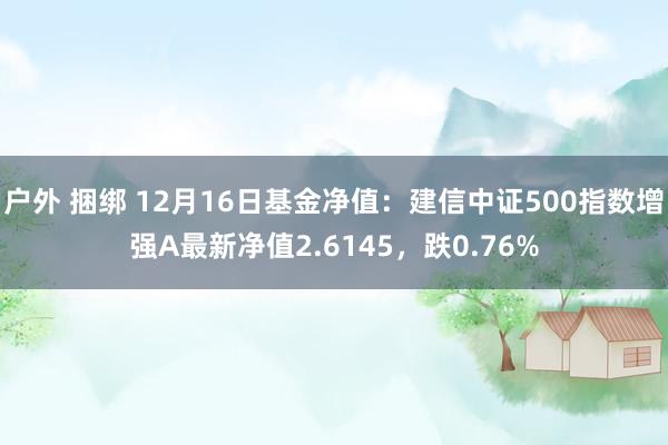 户外 捆绑 12月16日基金净值：建信中证500指数增强A最新净值2.6145，跌0.76%