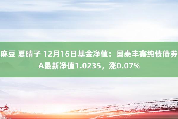 麻豆 夏晴子 12月16日基金净值：国泰丰鑫纯债债券A最新净值1.0235，涨0.07%