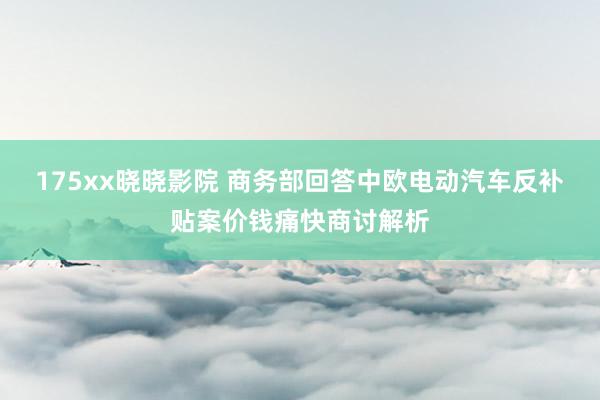 175xx晓晓影院 商务部回答中欧电动汽车反补贴案价钱痛快商讨解析