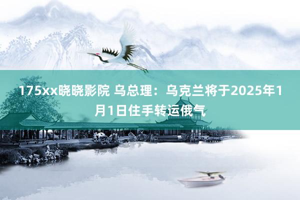 175xx晓晓影院 乌总理：乌克兰将于2025年1月1日住手转运俄气