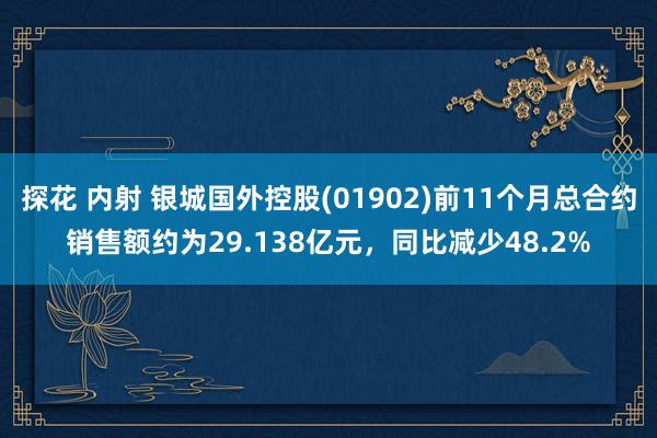 探花 内射 银城国外控股(01902)前11个月总合约销售额约为29.138亿元，同比减少48.2%