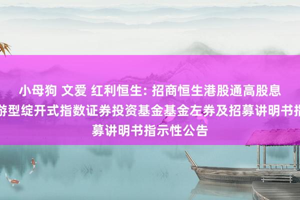 小母狗 文爱 红利恒生: 招商恒生港股通高股息低波动交游型绽开式指数证券投资基金基金左券及招募讲明书指示性公告