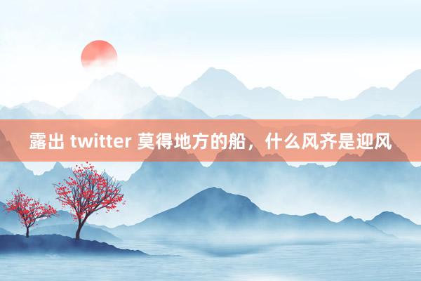 露出 twitter 莫得地方的船，什么风齐是迎风