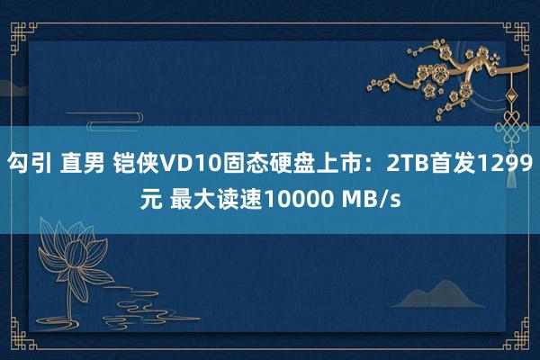 勾引 直男 铠侠VD10固态硬盘上市：2TB首发1299元 最大读速10000 MB/s