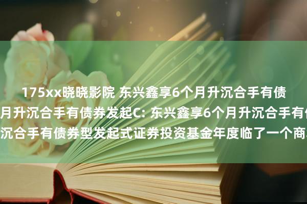 175xx晓晓影院 东兴鑫享6个月升沉合手有债券发起A，东兴鑫享6个月升沉合手有债券发起C: 东兴鑫享6个月升沉合手有债券型发起式证券投资基金年度临了一个商场往未来净值公告