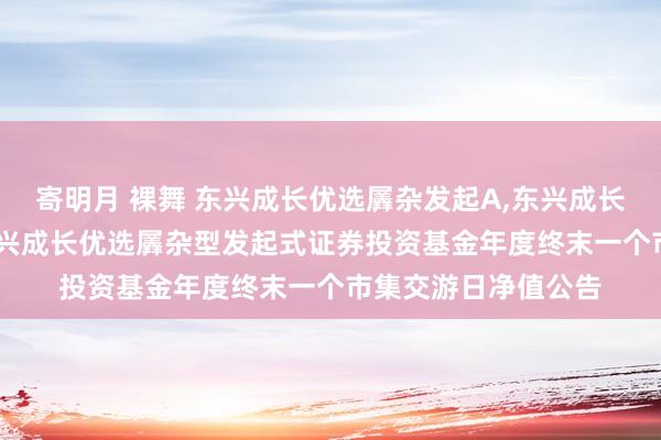 寄明月 裸舞 东兴成长优选羼杂发起A，东兴成长优选羼杂发起C: 东兴成长优选羼杂型发起式证券投资基金年度终末一个市集交游日净值公告